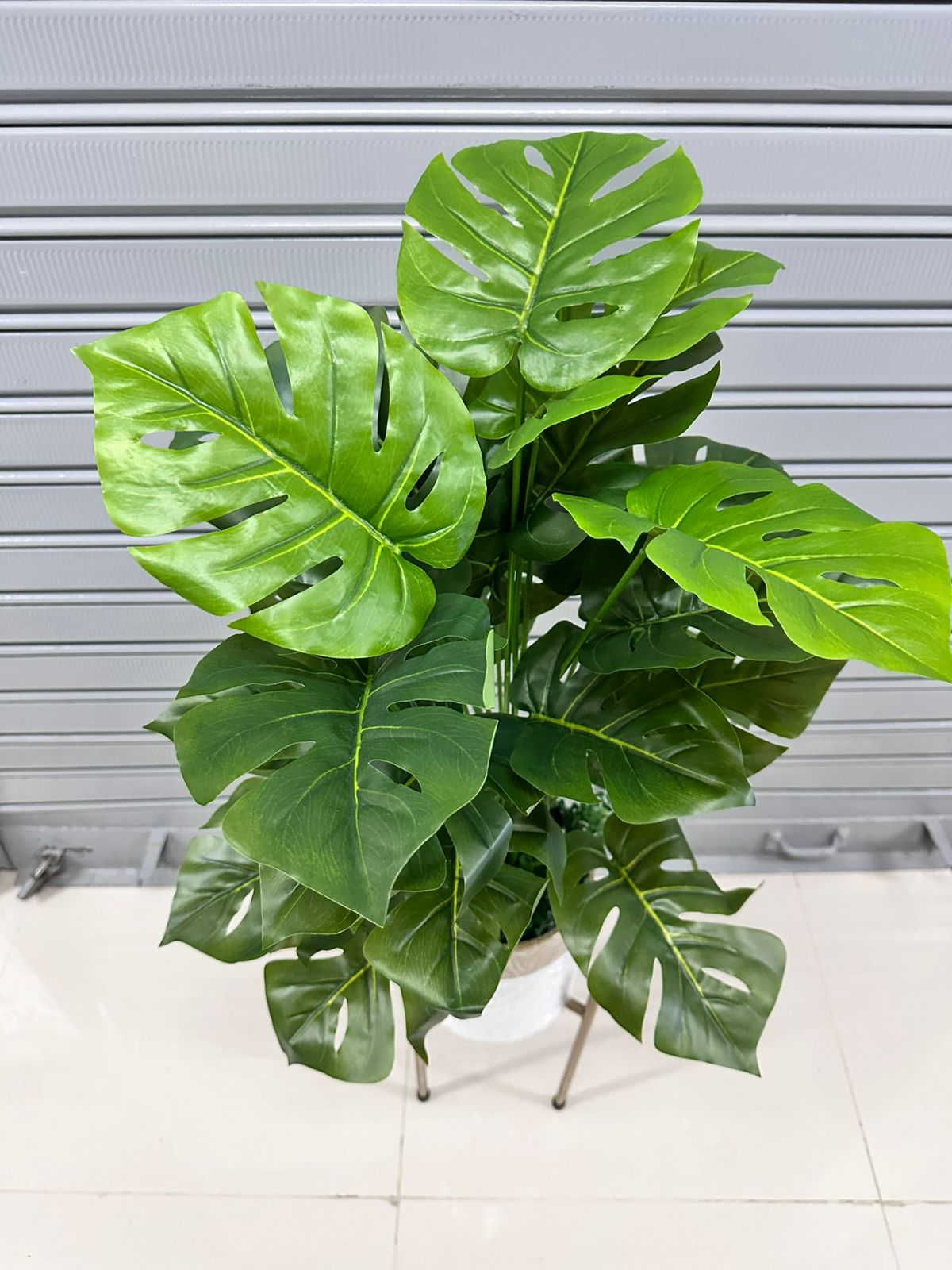 Planta Artificial | COSTILLA DE ADAN | x24 Hojas | Base y Soporte de Metal